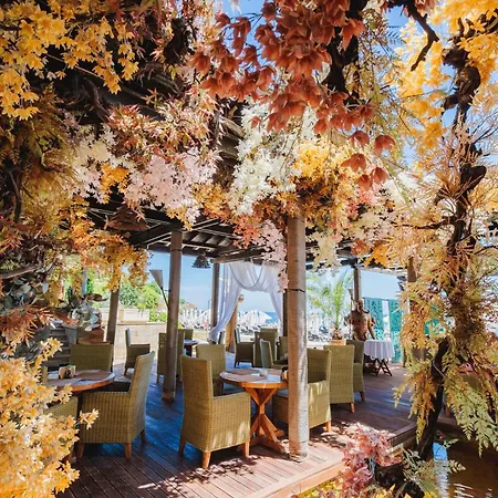 In The Picturesque Oasis & * Lozenec